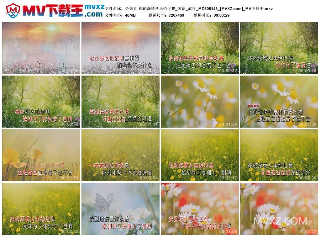 金钰儿-你的深情从未给过我_国语_流行_MD305148